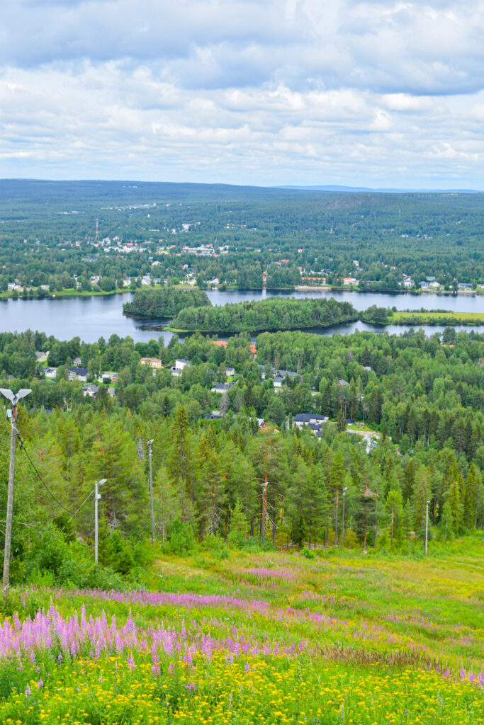 Maisemakuva Rovaniemen Ounasvaaralta. Metsää, vettä ja kaunista luontoa.